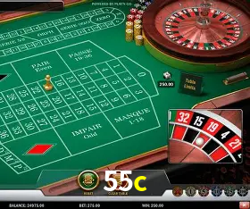 Security Systems 55c